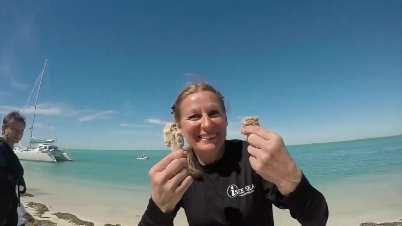 Touring an Uninhabited Island - Boca Grande Key