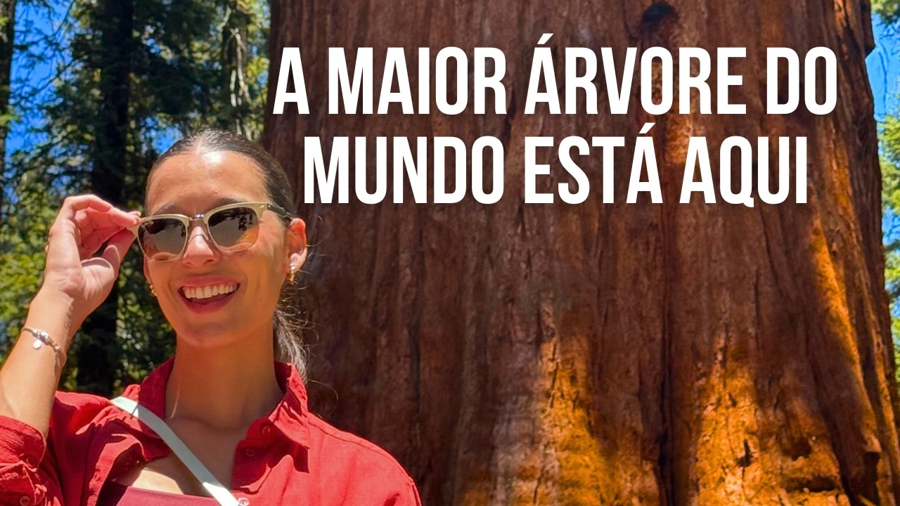 Visitei o Parque da Sequoias Gigantes | Roteiro de 1 dia