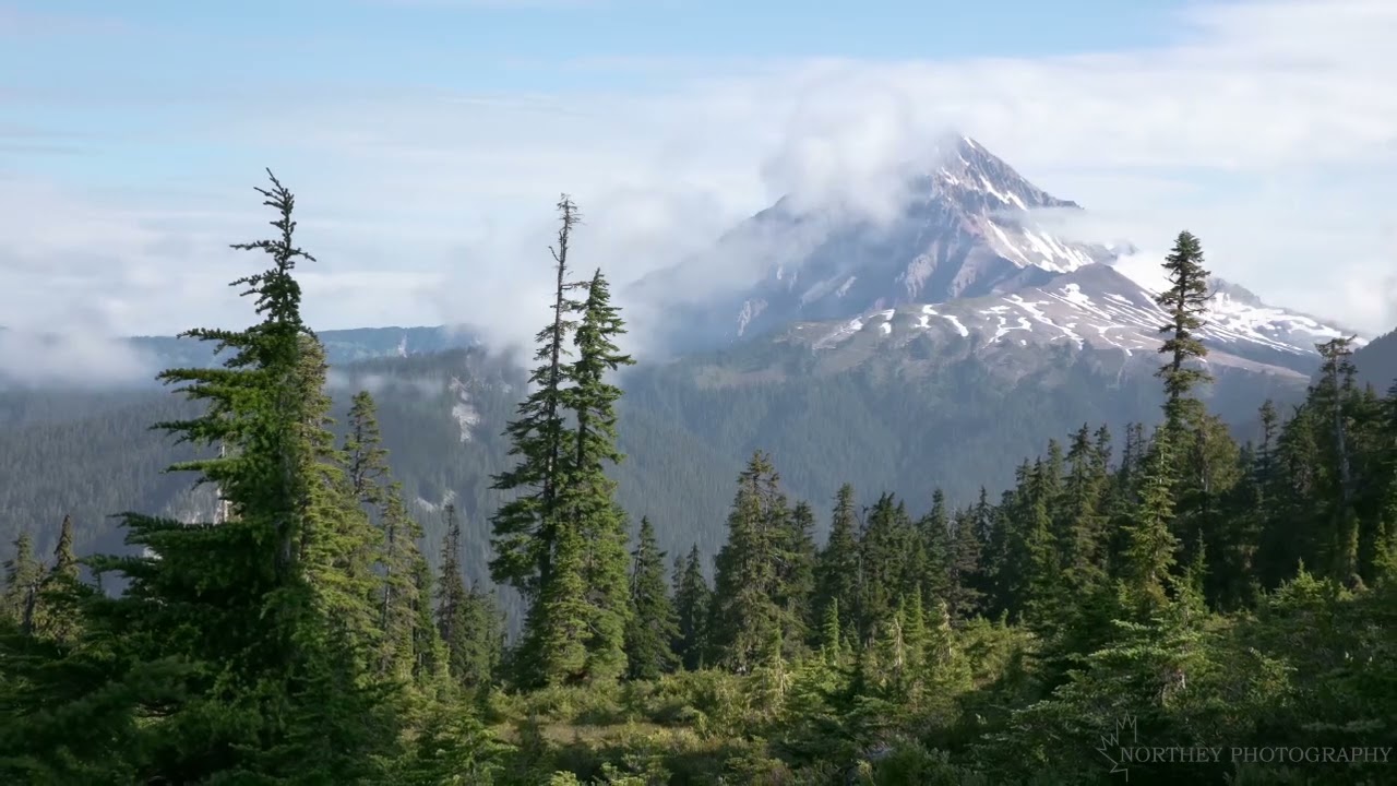 CANADA NATURE 4K   IBDA BESMELLEH FAOUZI BEN GAMRA