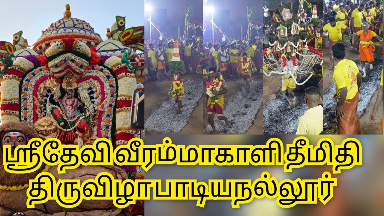 அருள்மிகு ஸ்ரீதேவி வீரம்மாகாளி தீமிதி திருவிழா || Sridevi veeramakali amman padiyanallur redhills