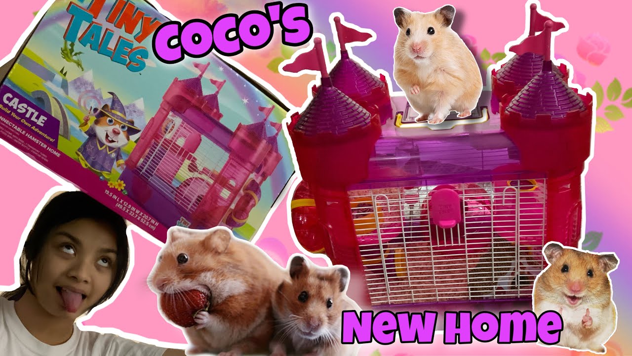 HAMSTER CAGE 🐹 Tiny tales “CASTLE” new home for our COCO
