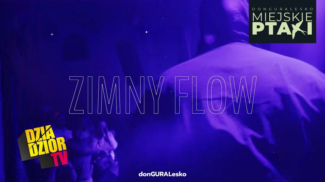 donGURALesko - Zimny Flow (prod. Look.out, skrecze DJ Soina) [MIEJSKIE PTAKI]