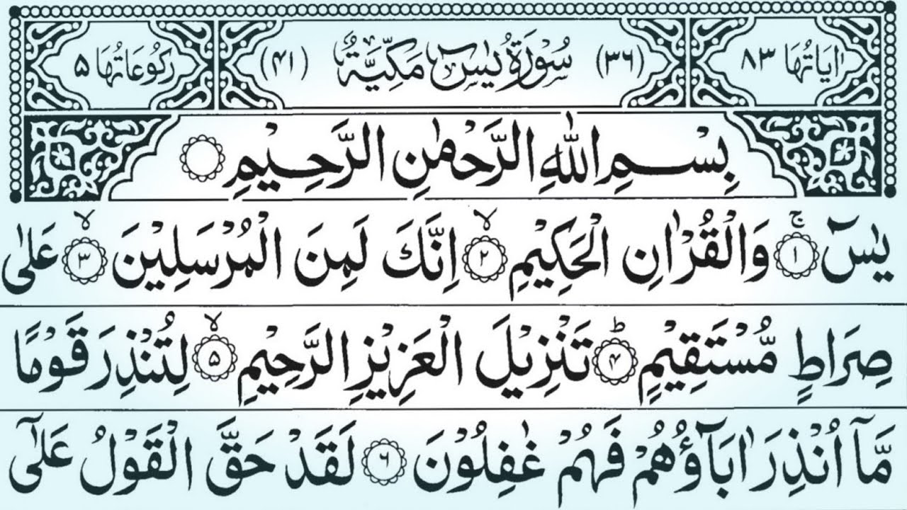 Surah Yaseen Sharif With Arabic Text 🕌 Surah Rahman,Mulk, Ayatul Kursi, Qur'an tilawat 🎁Vol.794