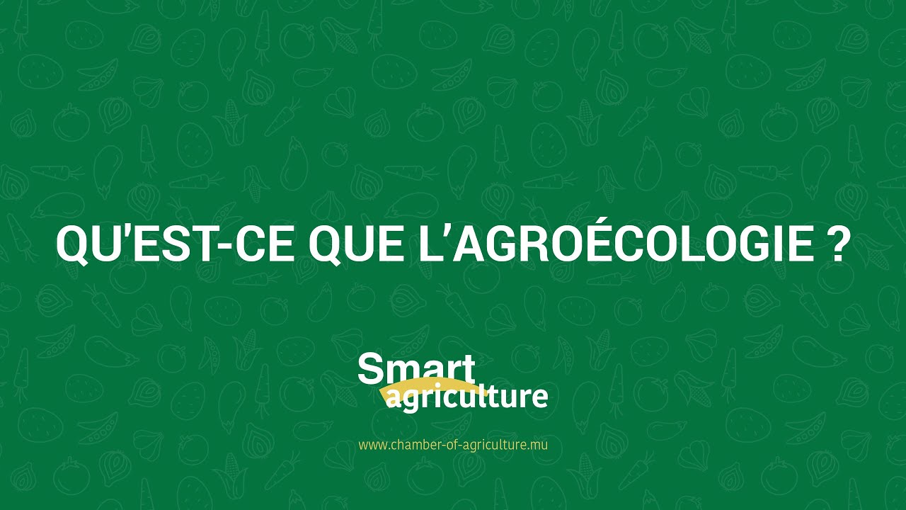 Qu'est-ce que L'agro&eacute;cologie ?