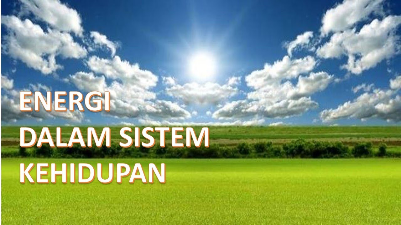 MATERI IPA SMP KELAS VII || ENERGI DALAM SISTEM KEHIDUPAN #BAGIAN 1