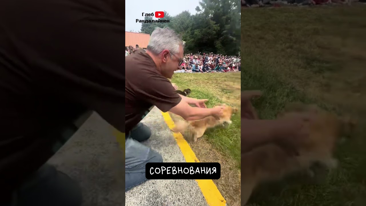 Такса  🌭 Смелая Охотничья Сосиска