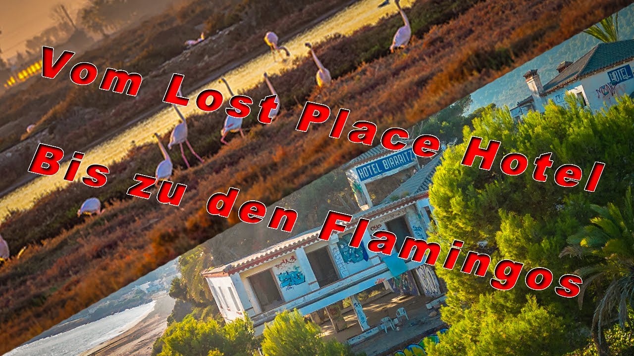 Unsere ersten Eindrücke in Spanien!!!   #ÜberwinterninSpanien #Winterinspanien