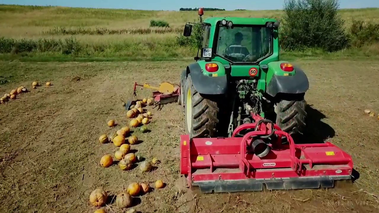Pumpkin seed harvest on our farm | JD 6420 Premium + Maschio Bisonte | NH T7 + Agrostahl Phönix
