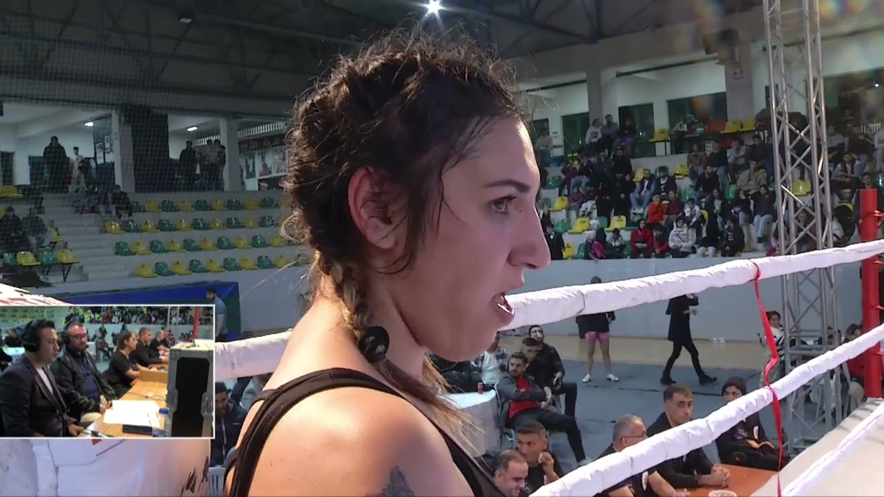 Atieh Nasrollahzadeh & Sebahat Özçekiç