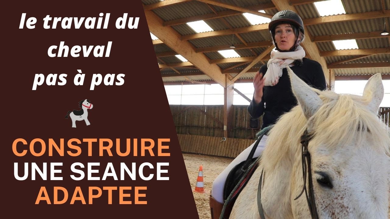 Bien adapter sa séance au niveau de son cheval : Mes conseils