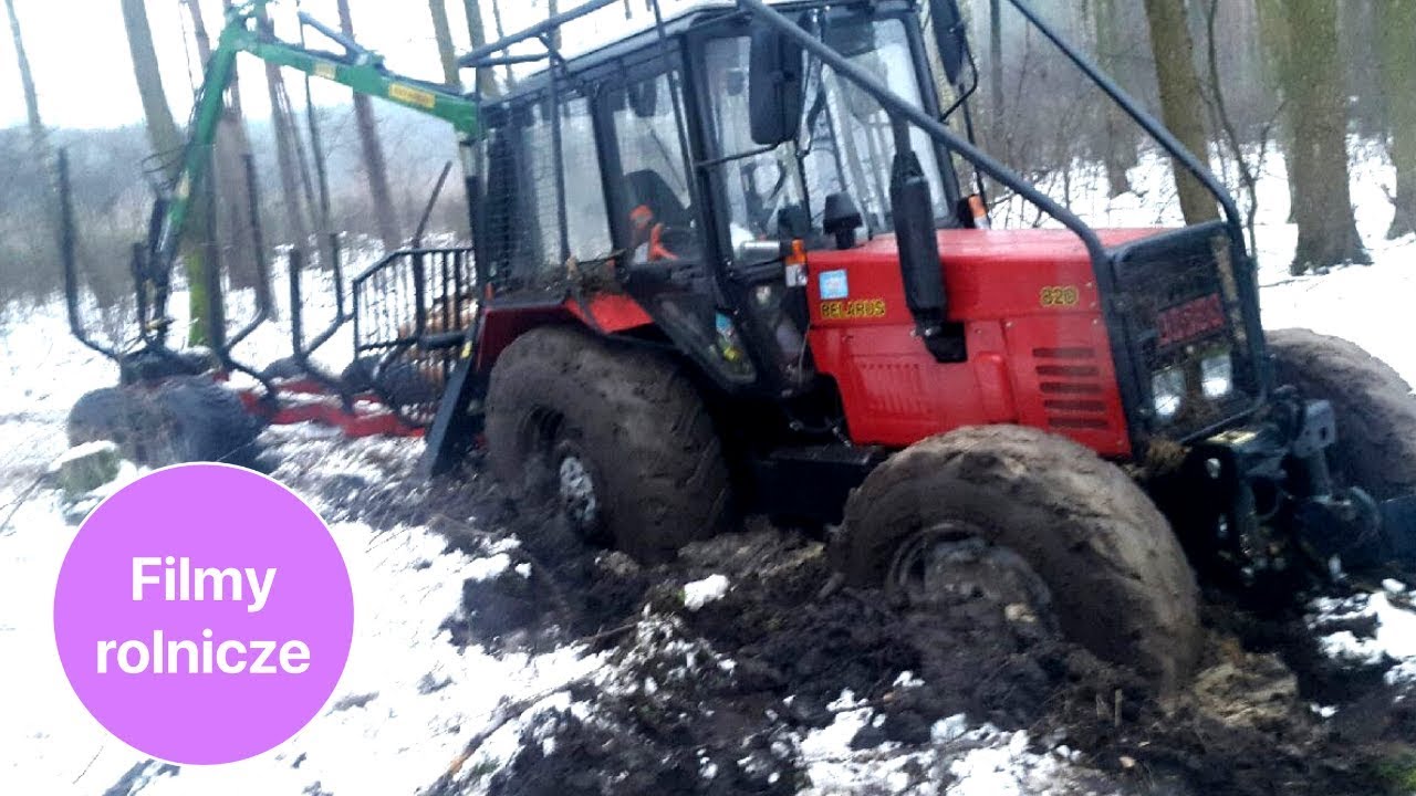 Półroczny MTZ Belarus 820 przy ciężkiej pracy