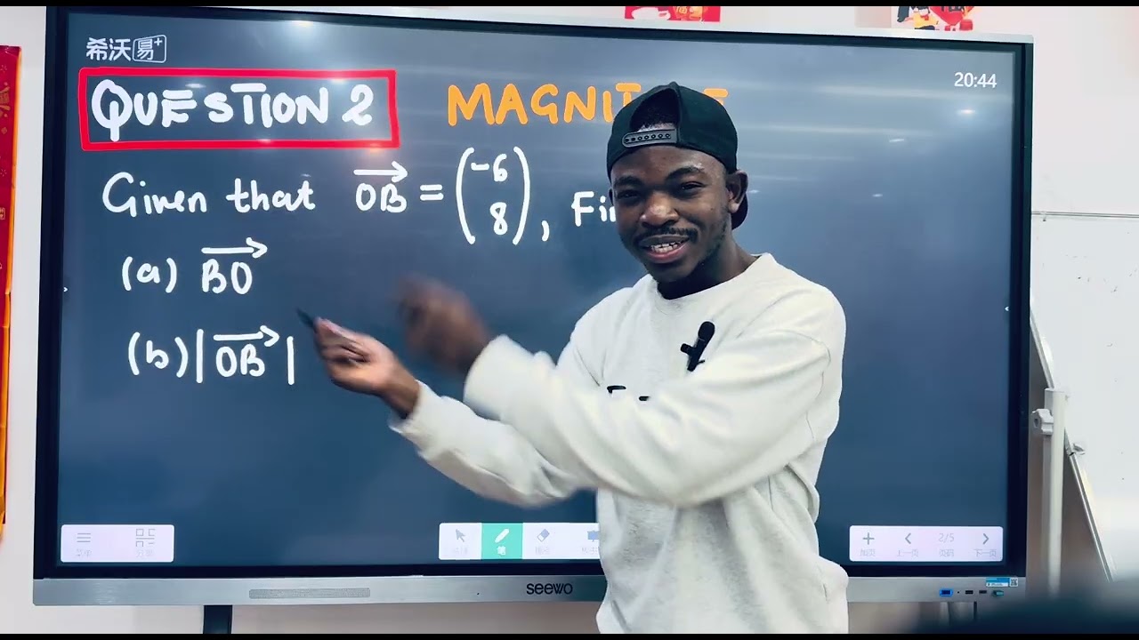 VECTORS|| MAGNITUDE OF A 2D VECTOR||MATHS PAPER 1 🔥