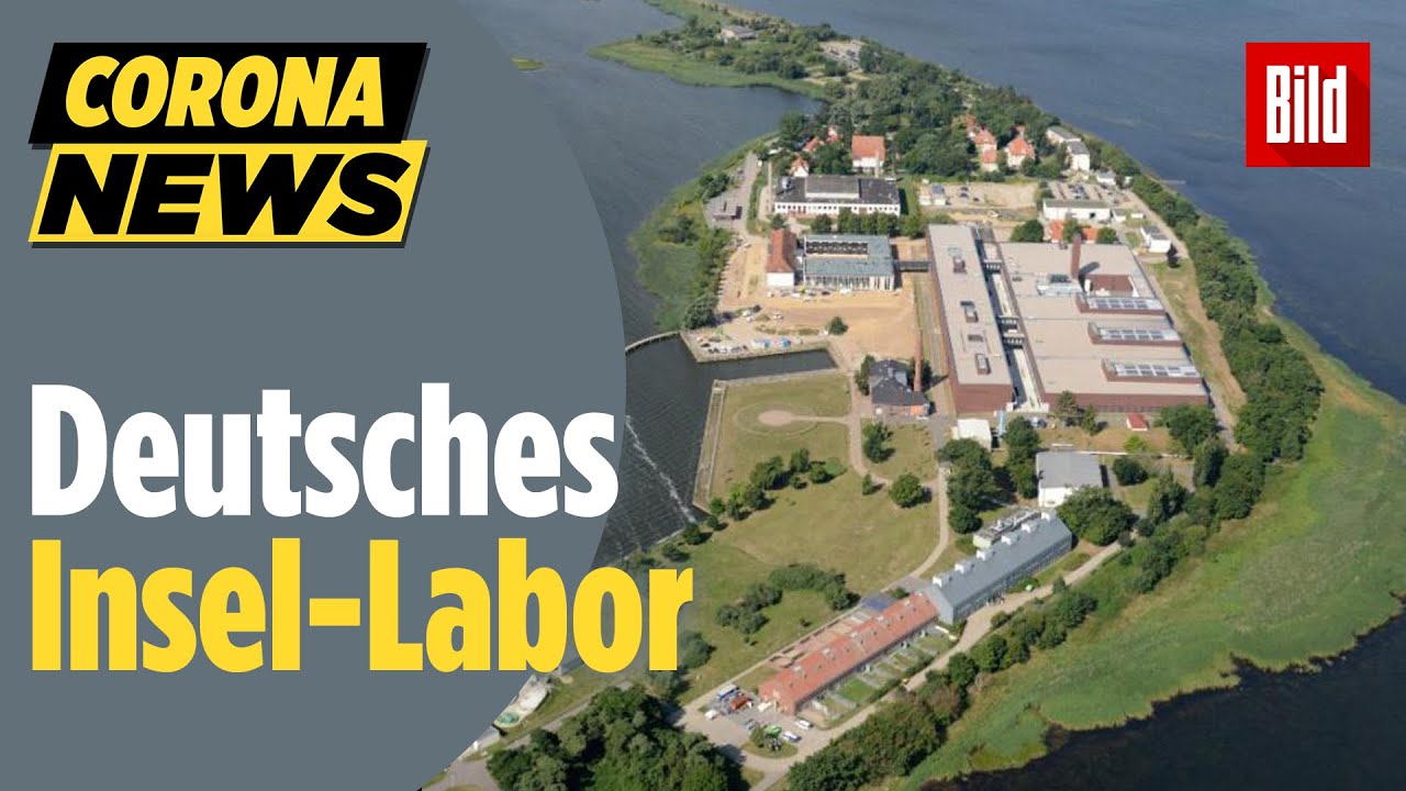 Auf dieser Insel stecken sie Tiere mit Corona an und suchen nach der Rettung