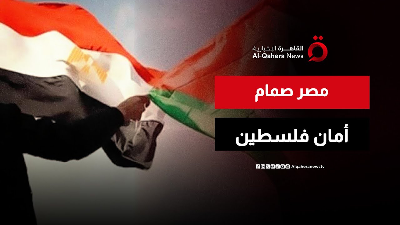 الدور المصري في حماية القضية الفلسطينية | هذا المساء