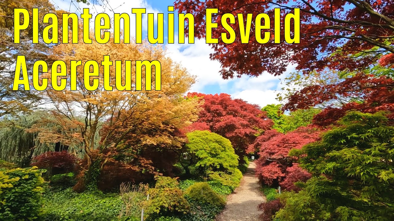 PlantenTuin Esveld   Aceretum 2023-05 part 3