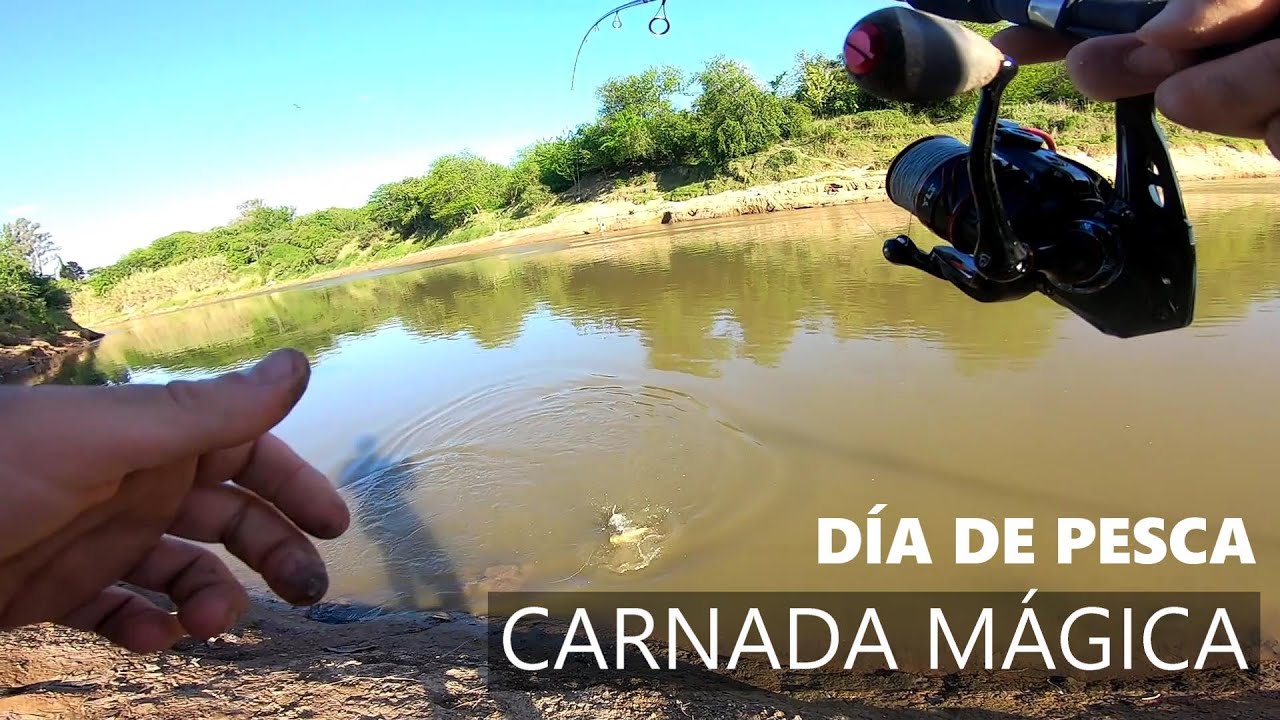 D&iacute;a de PESCA URBANA , pescando con 