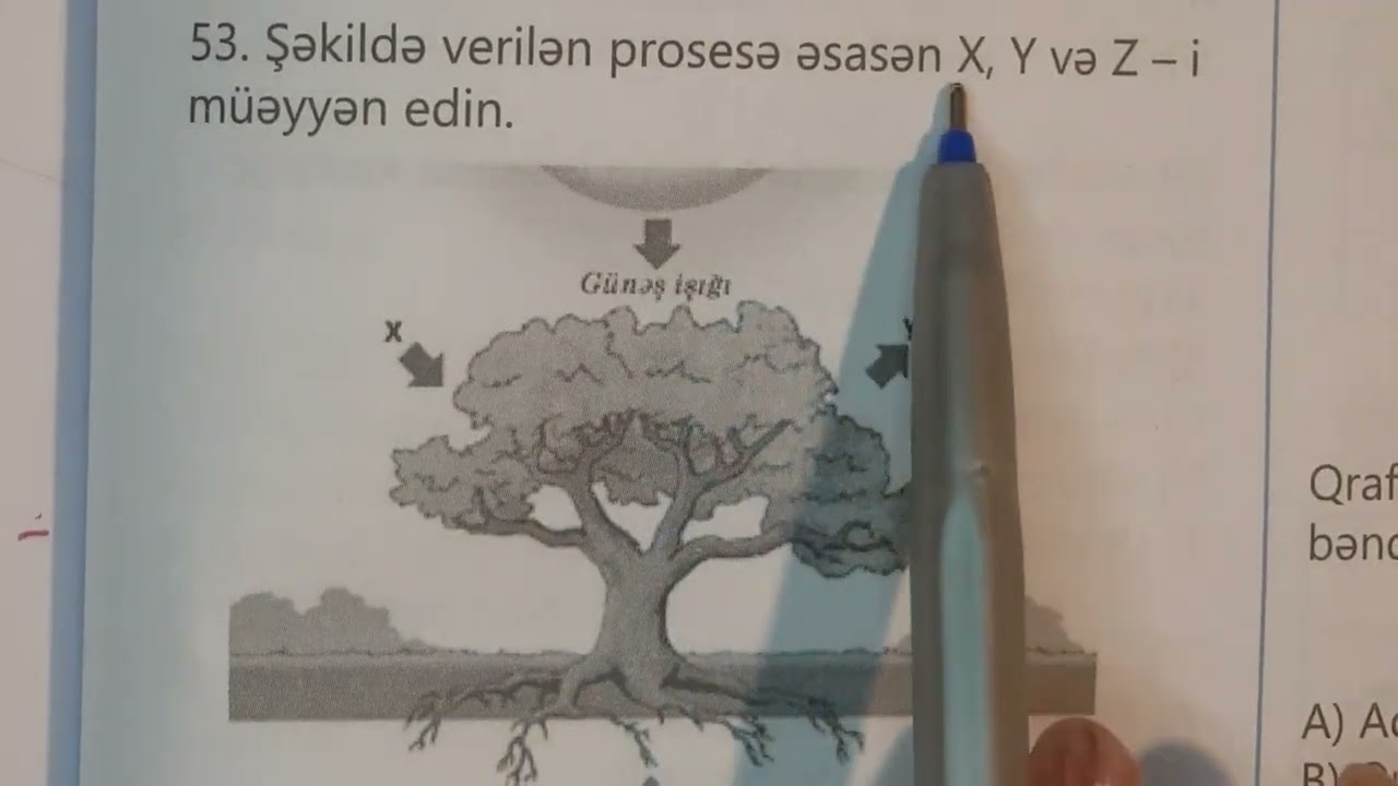 Biologiya. TAİM test bankı. Hüceyrə biokimyası. 40-60-cı suallar