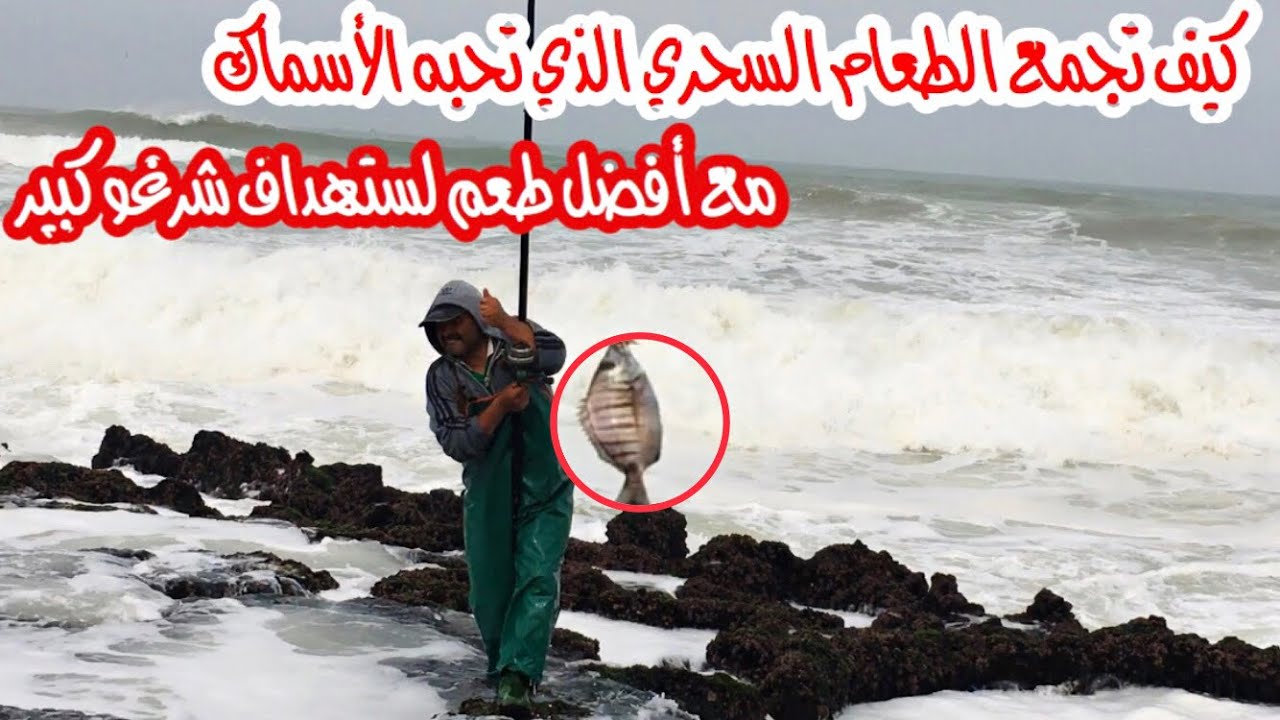اخطر مغامرة لصيد سمك الشرغو من الحجم الكبير في البحر الهائج | Fishing in rough sea