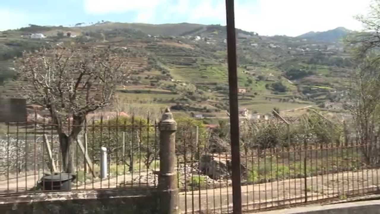 Barqueiros, o Douro e o Comboio