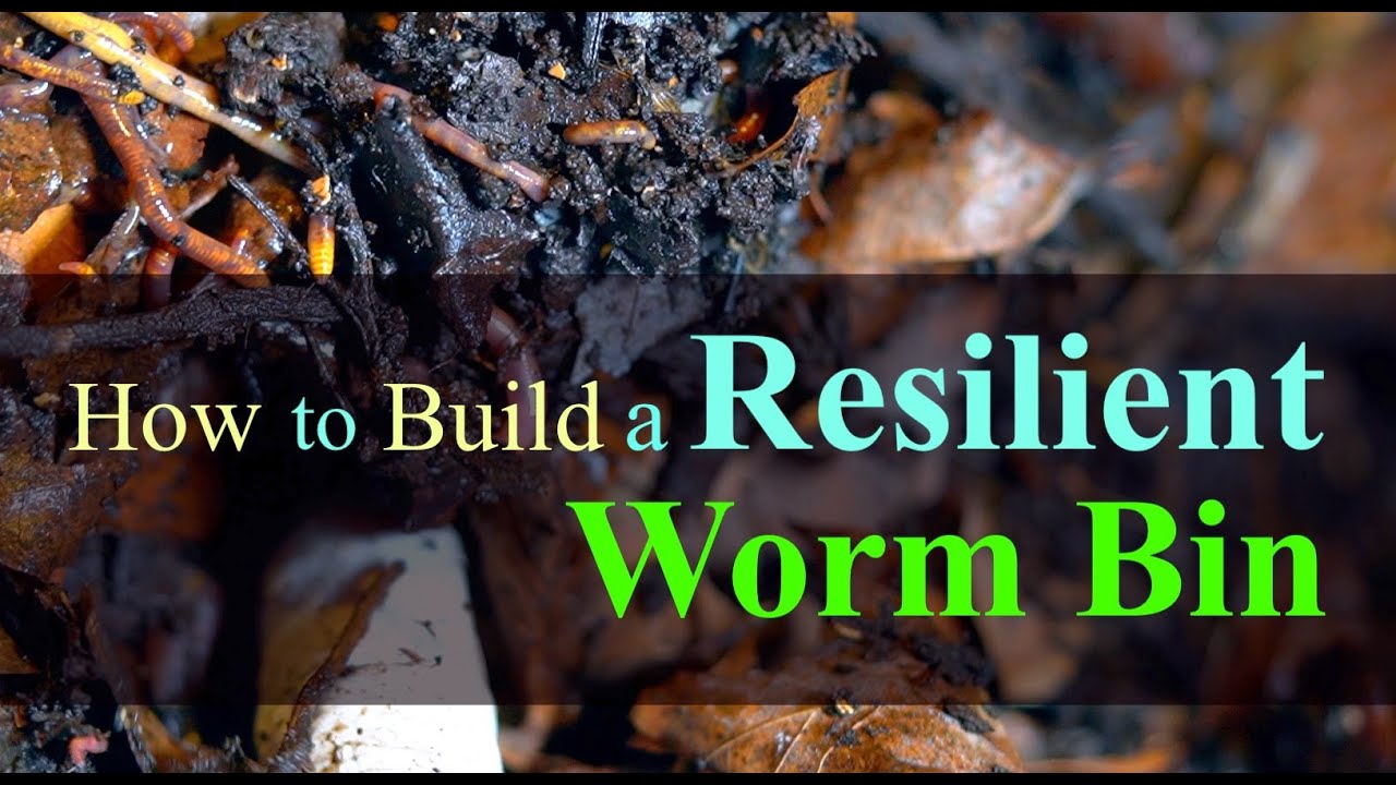 Worm Bin Temperature, Humidity, and Acidity (2024)