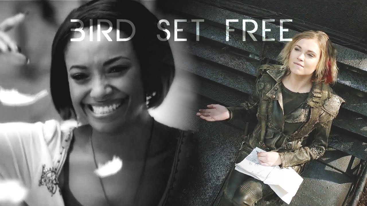 Multifemale | Bird Set Free YPIV (+900 subs)