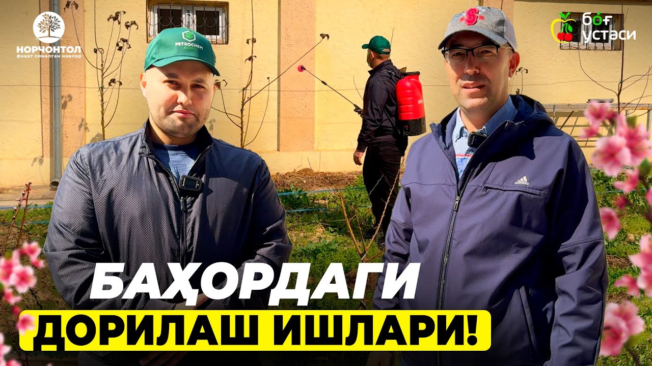 БАҲОРДА ЁШ ДАРАХТЛАРНИ КАСАЛЛИК ВА ЗАРАРКУНАНДАЛАРДАН ҲИМОЯ ҚИЛИШ! | ШУҲРАТ АБРОРОВ #shuhratabrorov