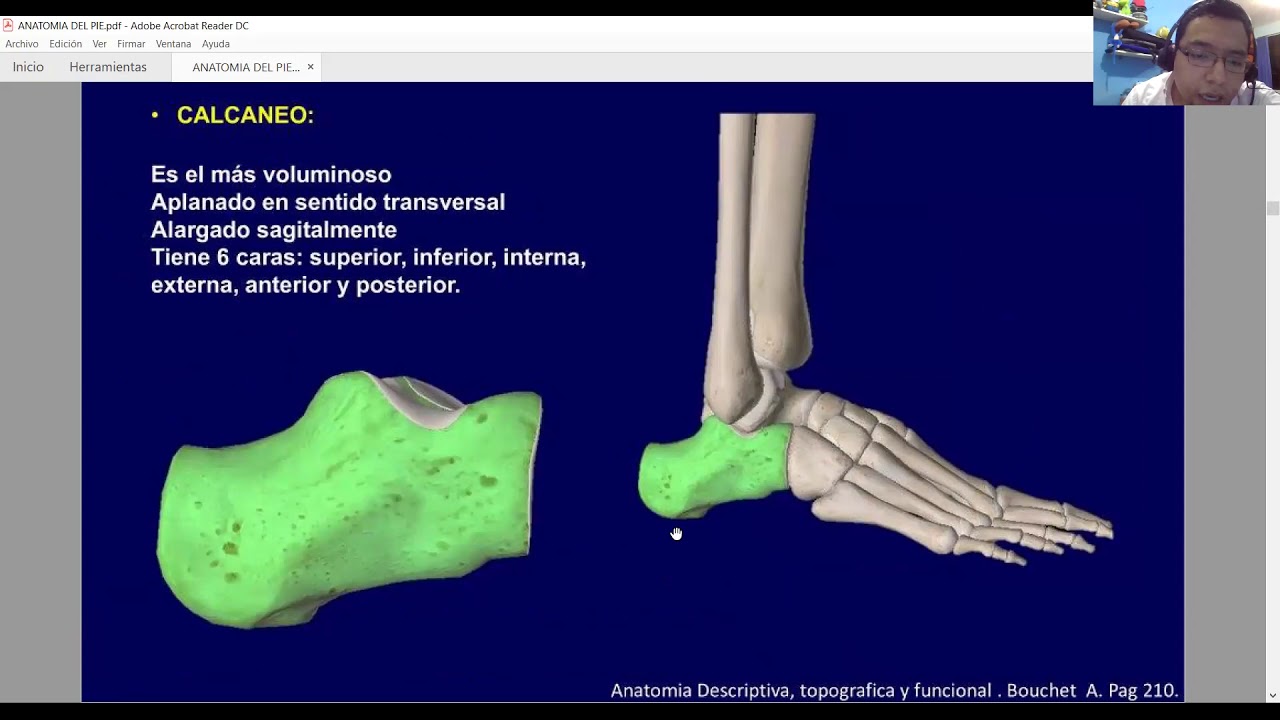 CLASE PODOLOGIA ANATOMIA DEL PIE