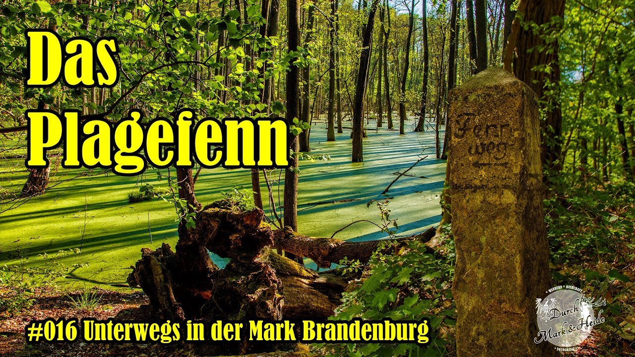 Das Plagefenn - #016 Unterwegs in der Mark Brandenburg