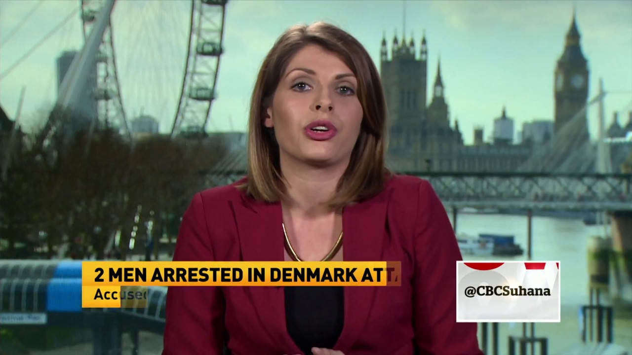 Authorities call Denmark attack 'terrorism'