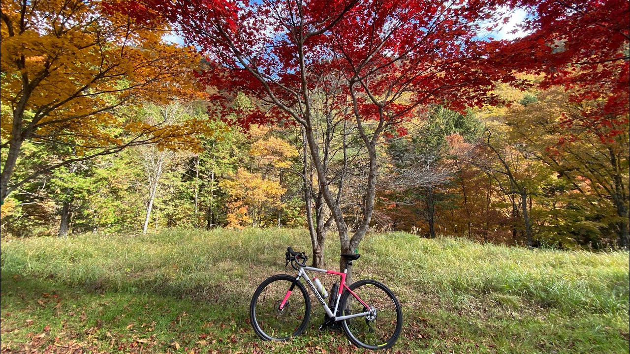 紅葉🍁ライド2025 馬瀬街道＆西ウレ峠