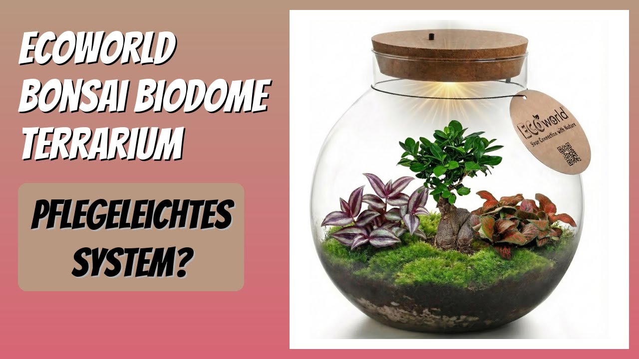 BEWERTUNG (2026): Ecoworld Bonsai Biodome Terrarium. Infos