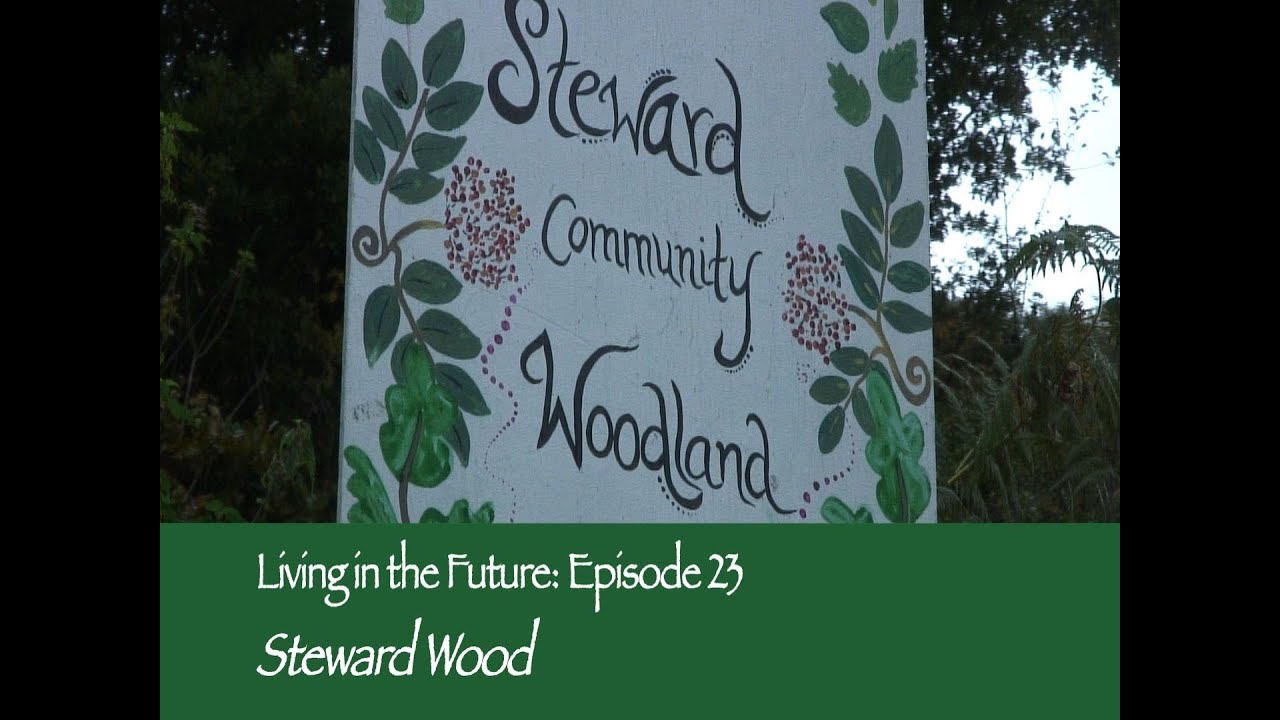 Steward Wood low impact community - Living in the Future (Ecovillages) 23