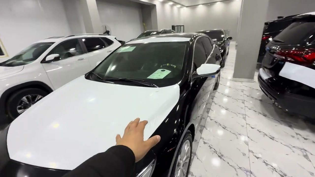 +99890-738-88-89