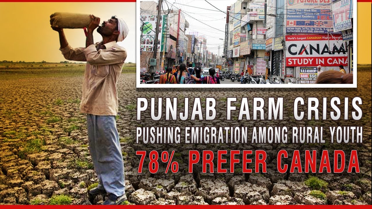 STUDY: Punjab Farm Crisis Fuels Massive Increase in Visa Applications to Study Abroad