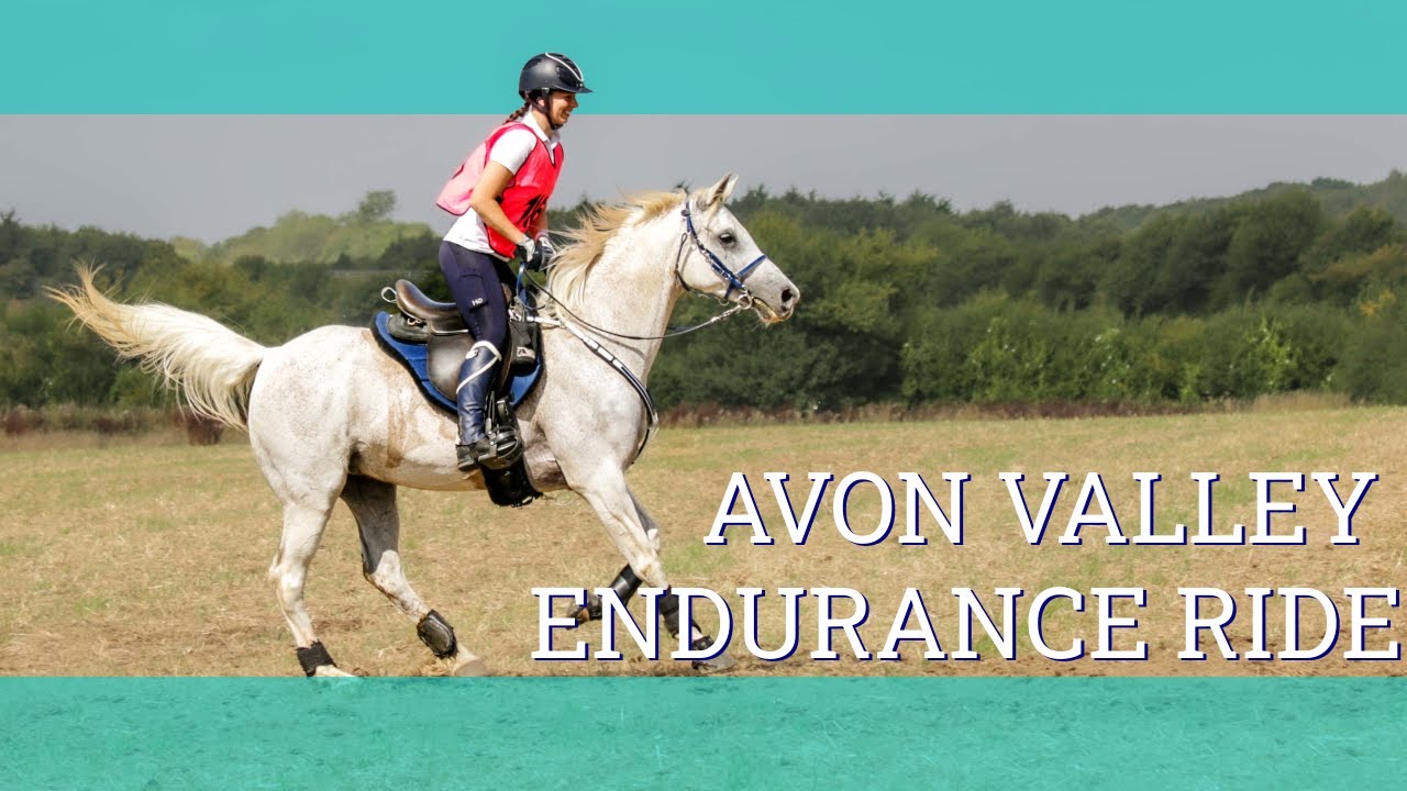 Avon Valley Endurance Ride - Vlog 290 - Beth Endurance