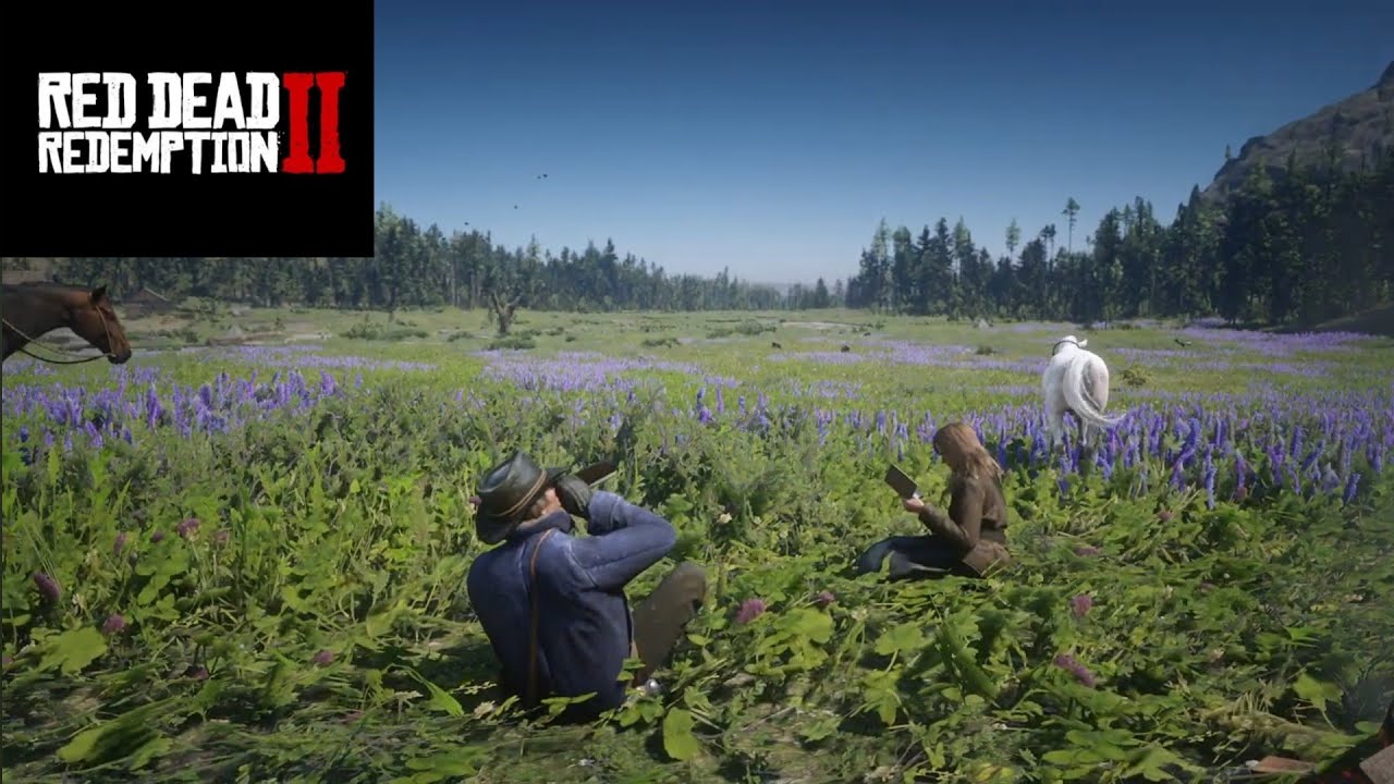 ARTHUR AND SADIE PICNIC AMBIENCE IN THE VALLEY FOR 1 HOUR| ARTHUR DRINKS, SADIE READS #asmr