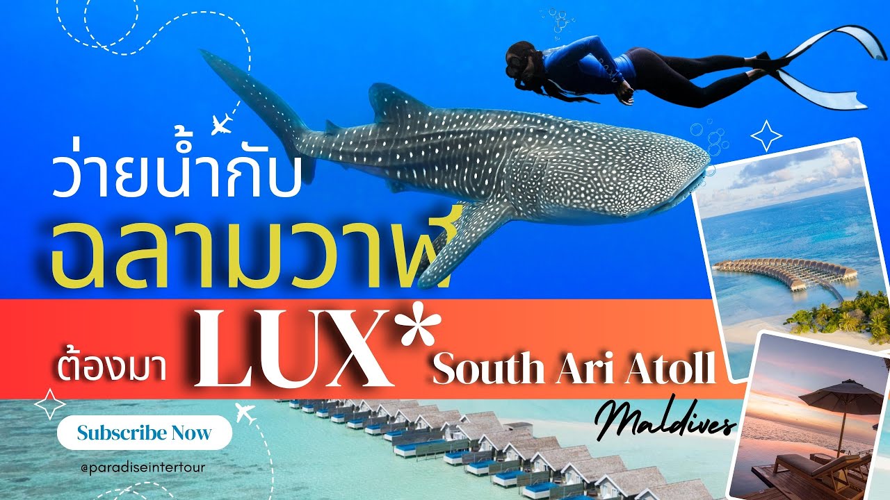 Lux South รีสอร์ท 5 ดาว ราคาไม่แรง แหล่งดำน้ำสุดแจ่ม