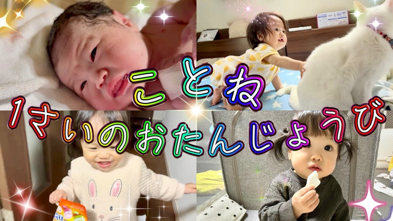 Happy 1th birthday ことね☆*:.｡. o(≧▽≦)o .｡.:*☆