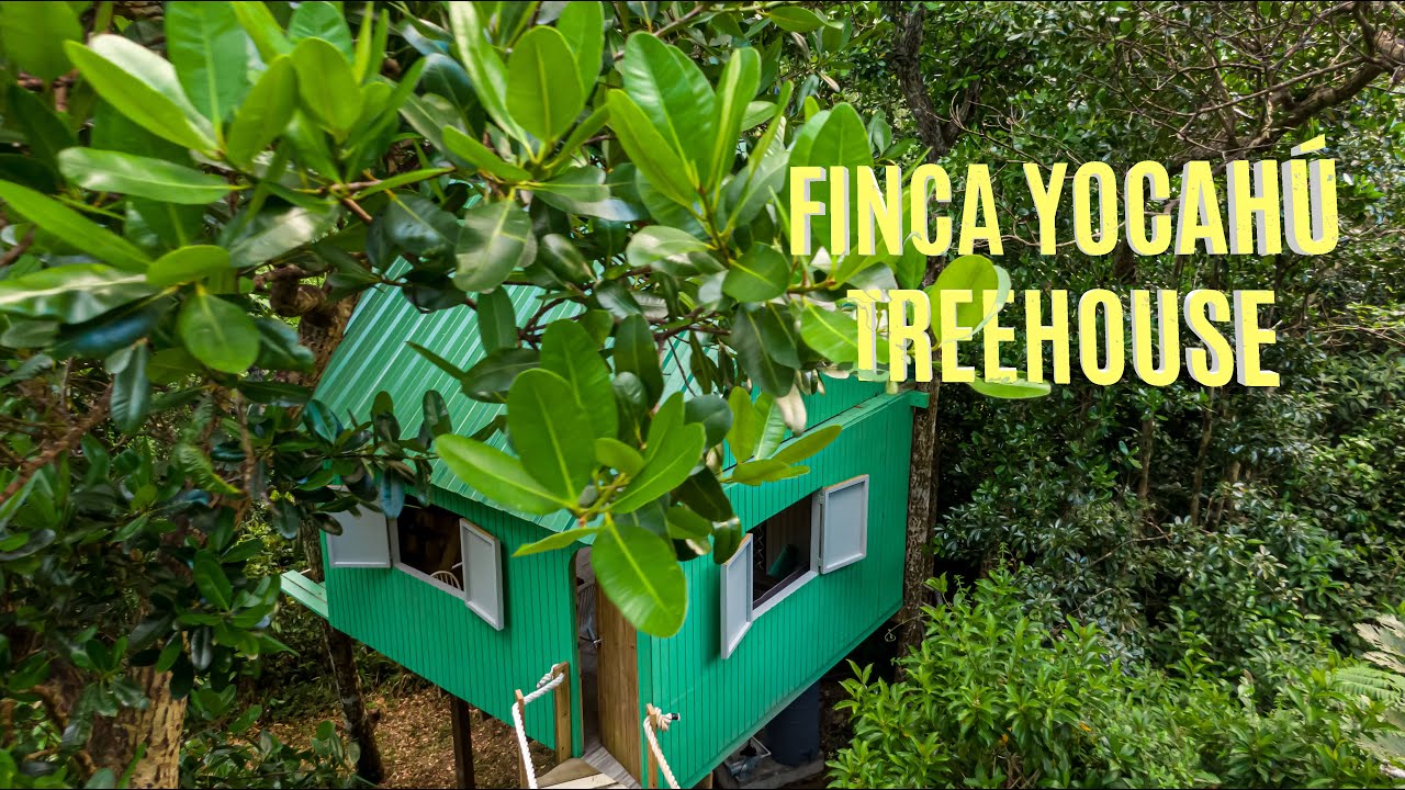 Icacos Treehouse en Finca Yocahú | Río Grande, Puerto Rico