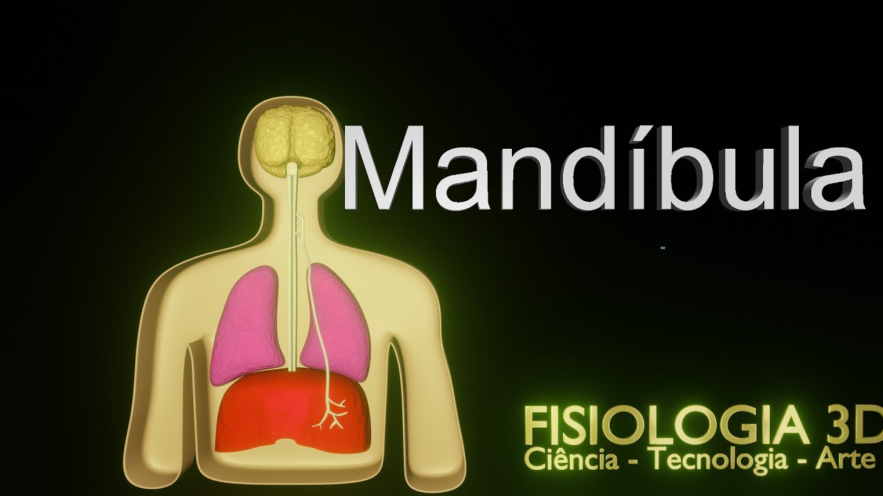Osso Mandíbula