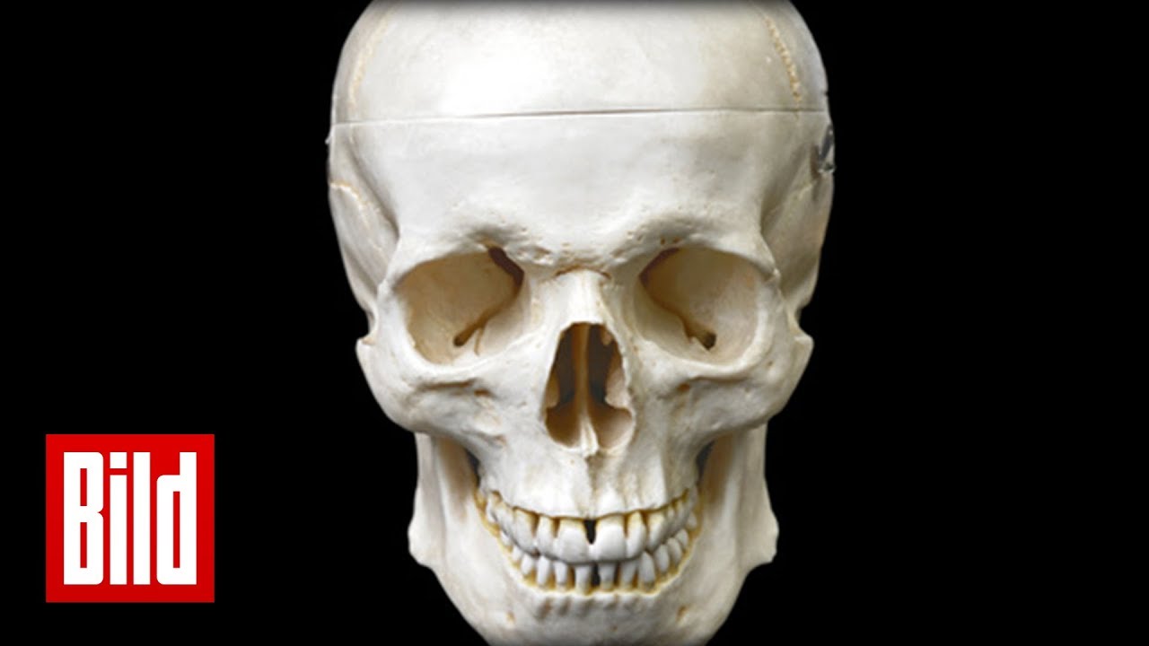 Halloween - Fakten und Wissen zum Grusel-Fest