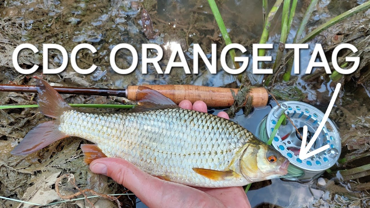 Orange Tag CDC Jig Nymph - Fly Tying with onymphs