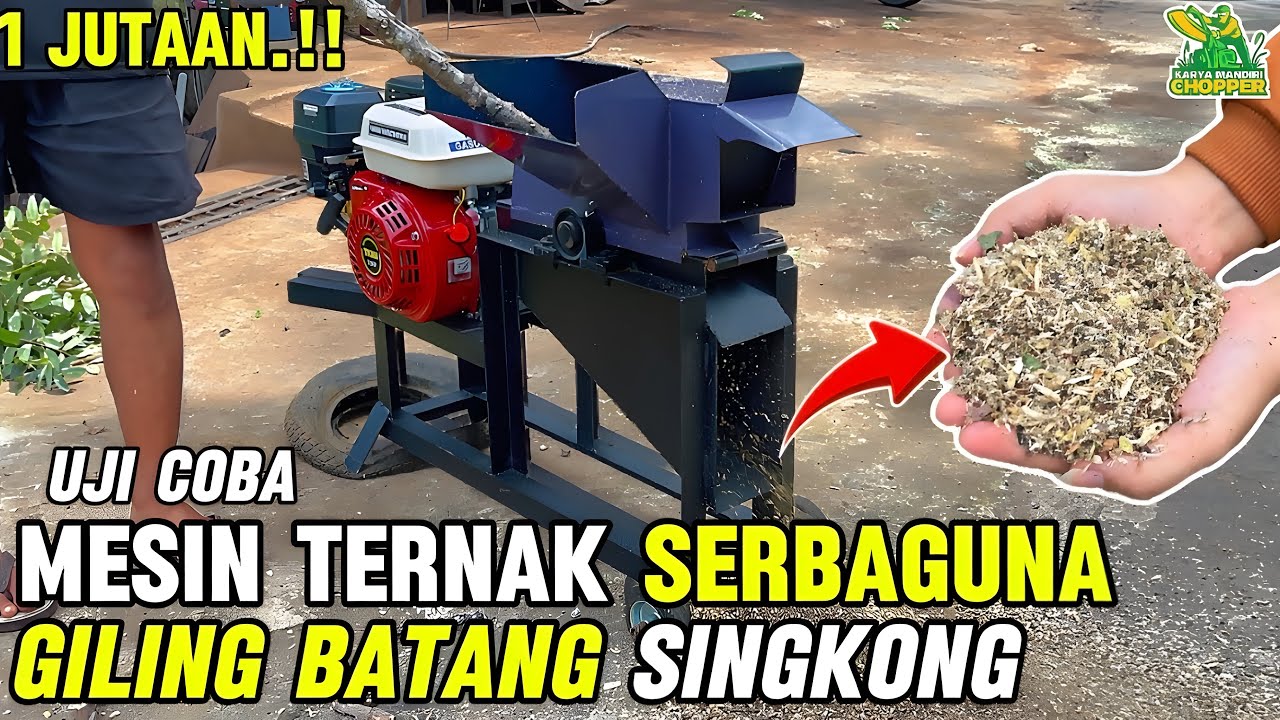 Batang Singkong Bisa Selembut Ini?! Mesin 1 Jutaan Ini Buktinya!