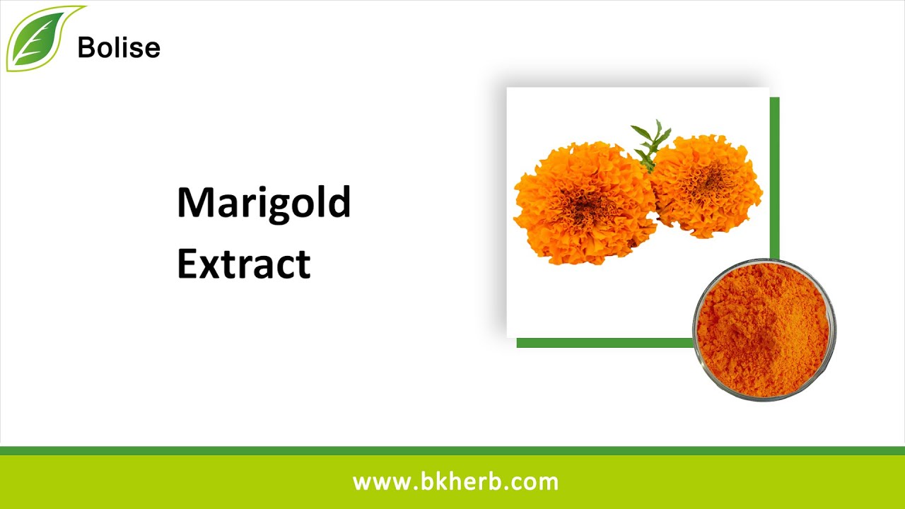 Hot Sales High Purity Marigold Extract, Lutein 80% Manufacturer, Price