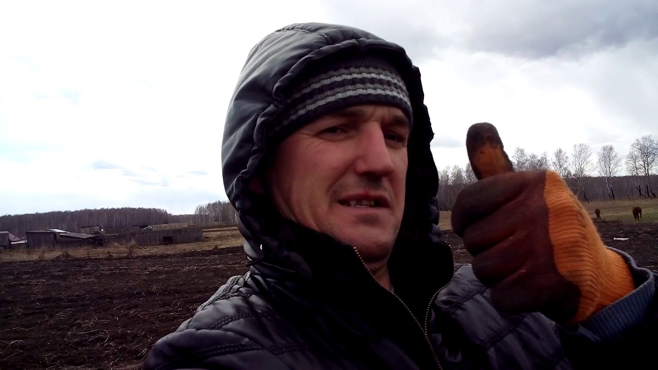 Монеты в Деревне на каждом шагу.А где искать клад?