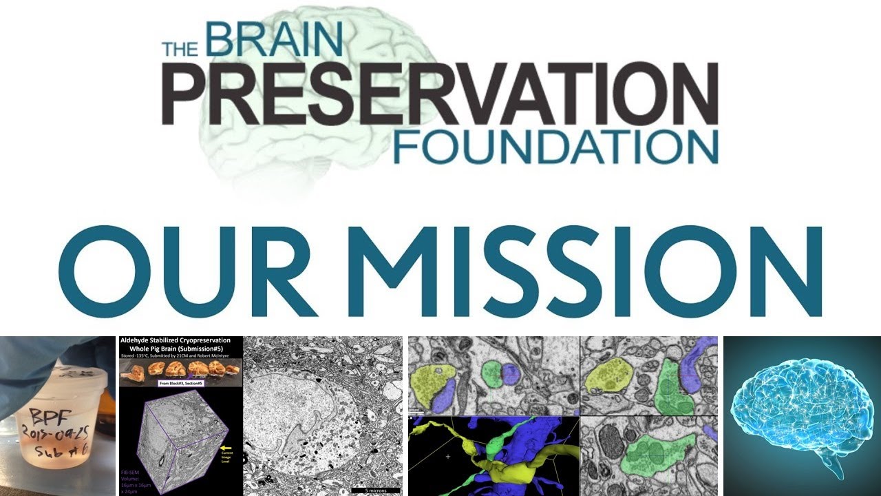 BPF Video Series Episode 1 of 8 – Opening Statement: Our Mission