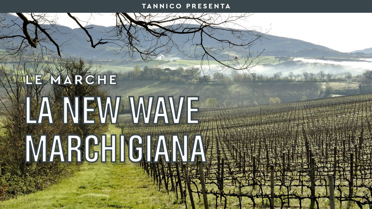 I Verdicchio Boys e la New Wave marchigiana | Tannico Flying School