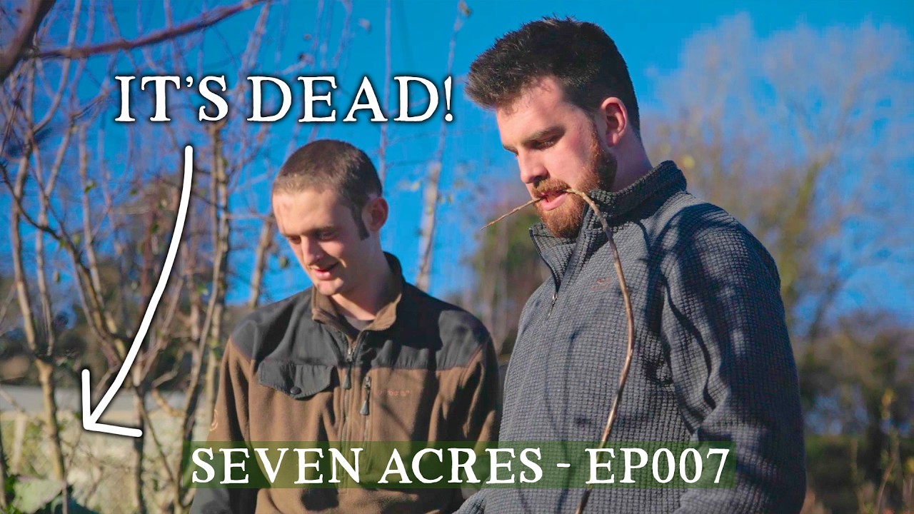 Небольшое обновление · Seven Acres EP007