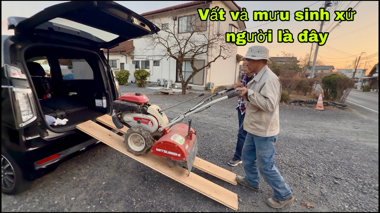 Cuộc sống mưu sinh xứ người ai cũng vất vả không chỉ riêng em.