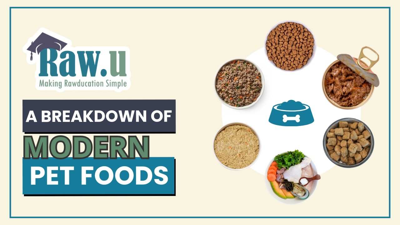 A Breakdown of Modern Pet Foods